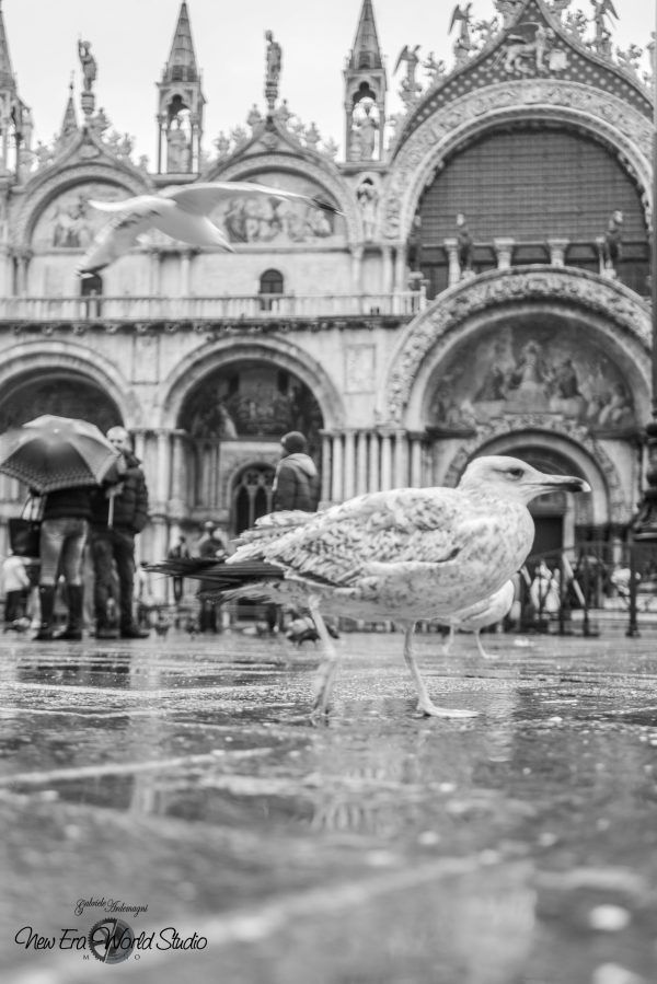 Venice Black & White Foto by Gabriele Ardemagni