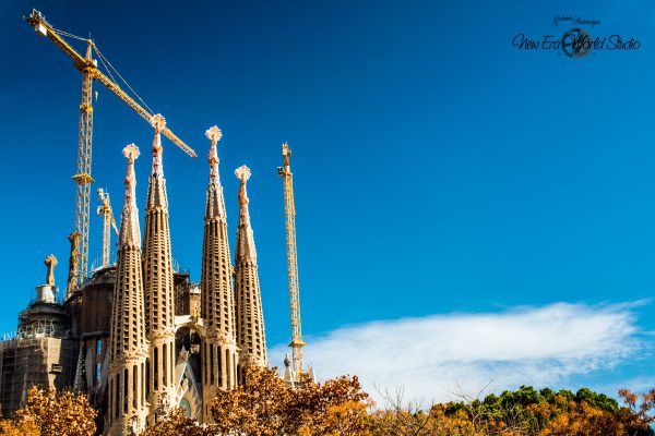 Sagrada Familia Detail Barcelona Spain 1 Foto by Gabriele Ardemagni