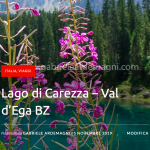 Lago di Carezza – Val d’Ega BZ